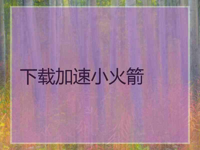 下载加速小火箭