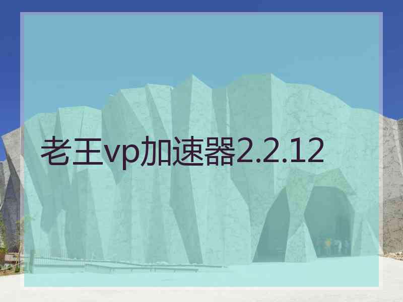 老王vp加速器2.2.12