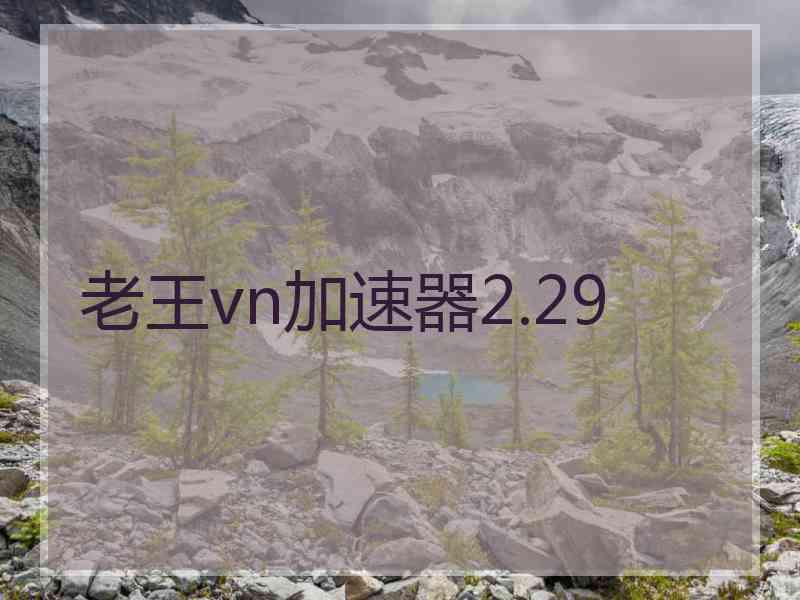 老王vn加速器2.29