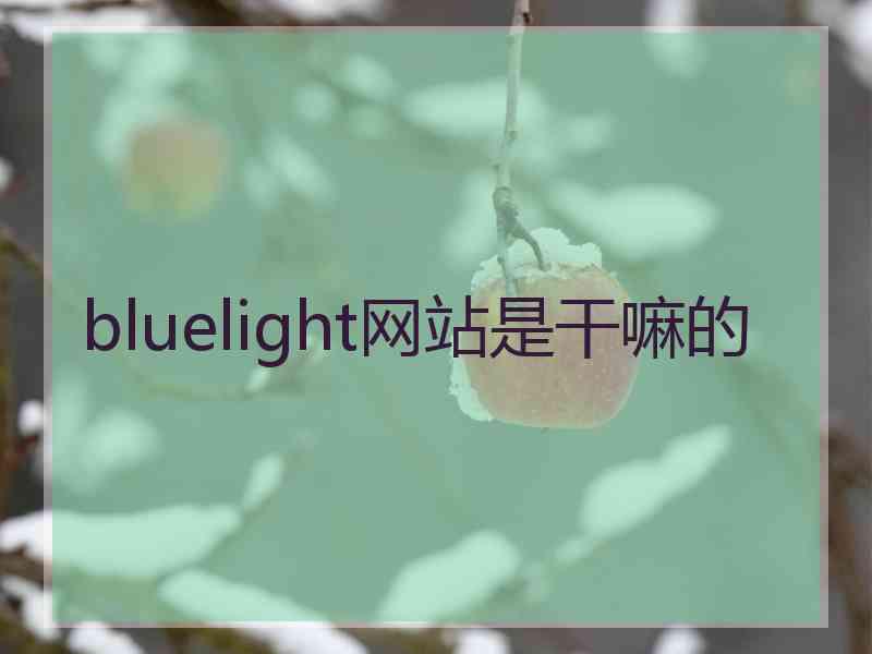 bluelight网站是干嘛的