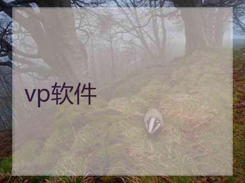 vp软件