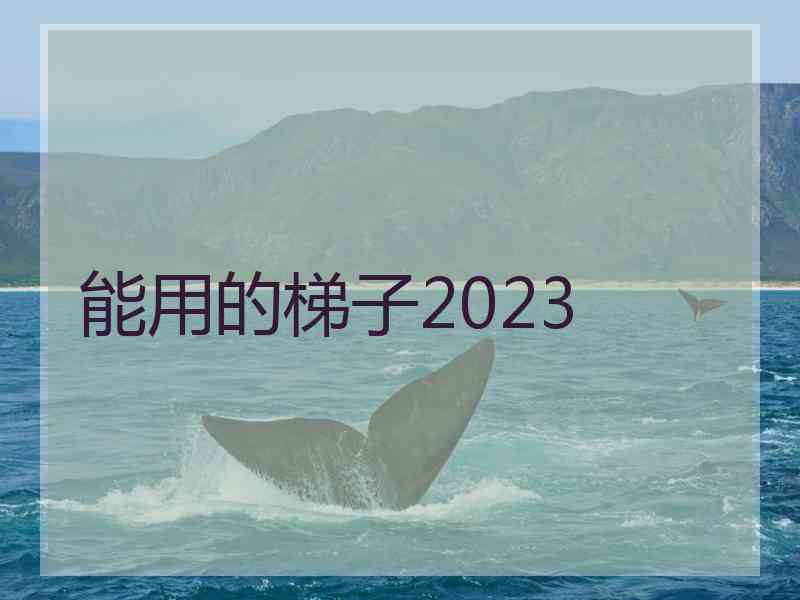 能用的梯子2023