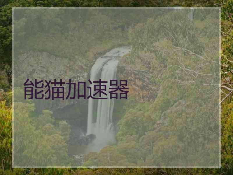 能猫加速器