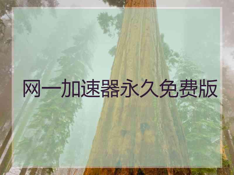 网一加速器永久免费版