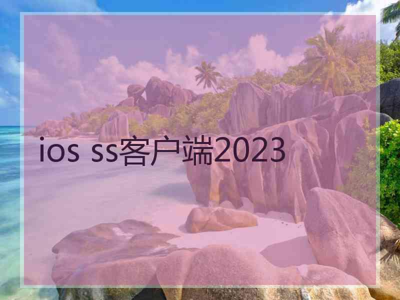 ios ss客户端2023
