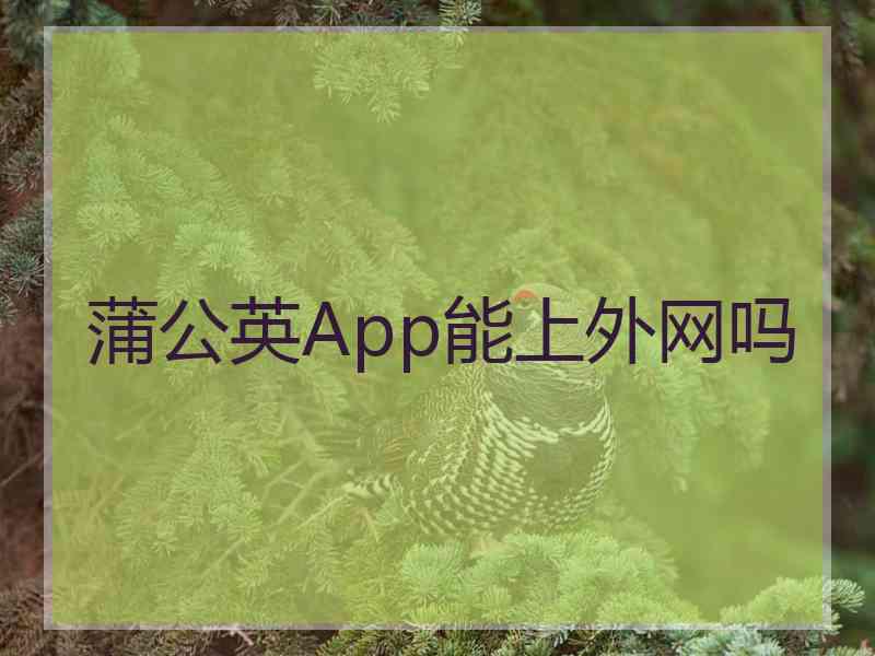 蒲公英App能上外网吗