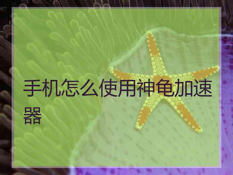 手机怎么使用神龟加速器