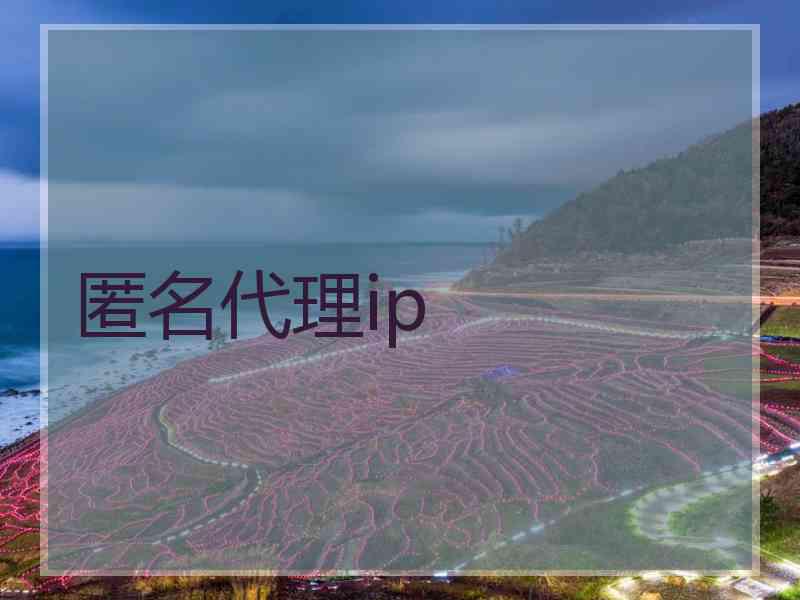 匿名代理ip