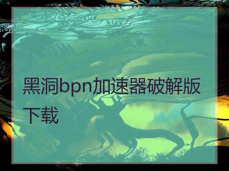 黑洞bpn加速器破解版下载