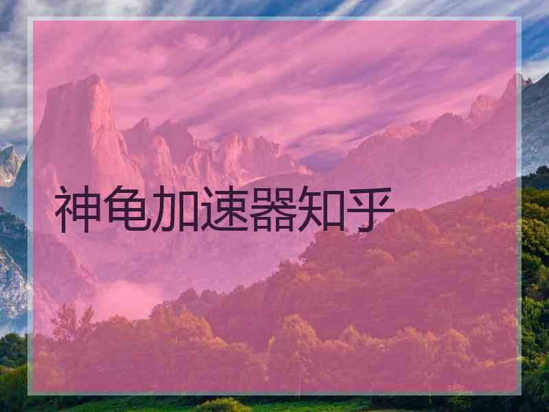 神龟加速器知乎